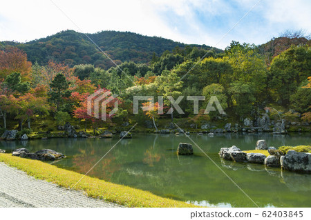 Autumn Tenryuji Sogenike Garden 62403845