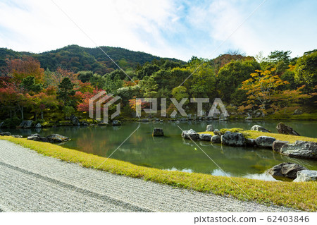 秋天的天龍寺莊池花園 62403846
