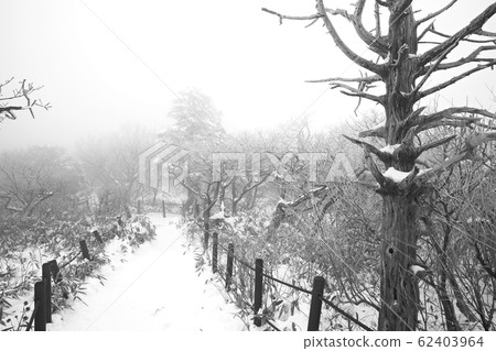雪花，雪景，冬季風景，德裕山 62403964