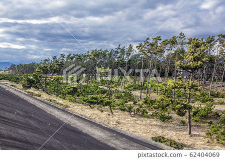 Shizuoka Prefecture Numazu City Senbonhama Shizuoka Prefecture Numazu City Senbonhama 62404069