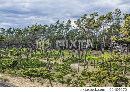 Shizuoka Prefecture Numazu City Senbonhama 62404070