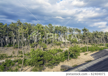 Shizuoka Prefecture Numazu City Senbonhama 62404071