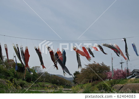 Caterpillar of the long stature Caterpillar of the long stature 62404083