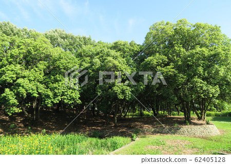 Daisen Park Daisen Park 62405128