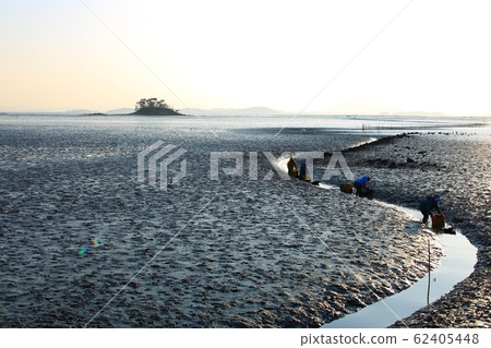 Tidal Flats, Fishing Village, Ecosystem Tidal Flats, Fishing Village, Ecosystem 62405448