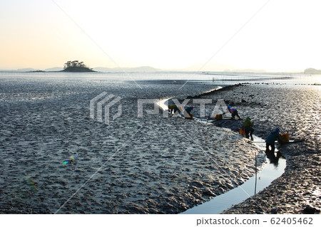 Tidal Flats, Fishing Village, Ecosystem 62405462