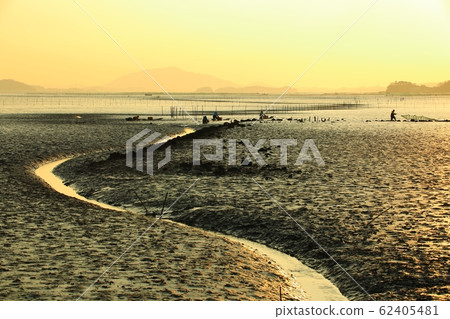 Tidal Flats, Fishing Village, Ecosystem Tidal Flats, Fishing Village, Ecosystem 62405481