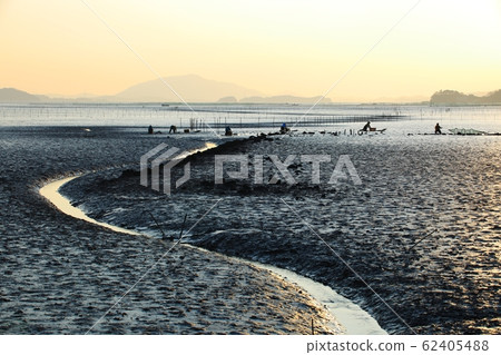 潮灘，漁村，生態系統 62405488