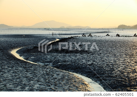 Tidal Flats, Fishing Village, Ecosystem Tidal Flats, Fishing Village, Ecosystem 62405501