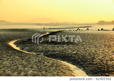 Tidal Flats, Fishing Village, Ecosystem 62405502