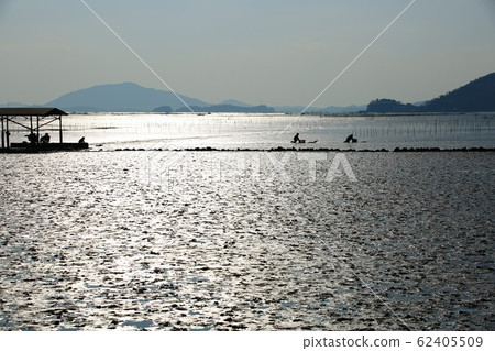 Tidal Flats, Fishing Village, Ecosystem Tidal Flats, Fishing Village, Ecosystem 62405509