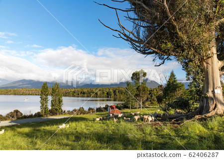 Lake Te Anau Lake Te Anau 62406287