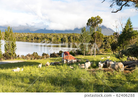 Lake Te Anau Lake Te Anau 62406288