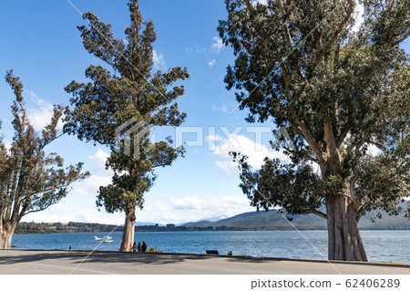 Lake Te Anau Lake Te Anau 62406289