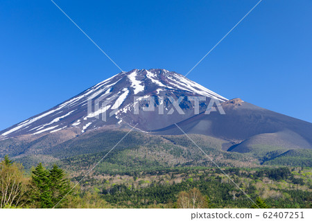 靜岡_富士山的新鮮綠色 62407251