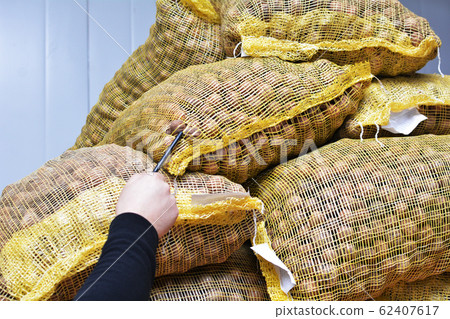 The Manager makes an inventory of walnuts in the warehouse. A worker checking stock in a grocery warehouse. Violation of storage conditions for nuts. 62407617