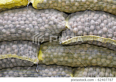 Bags full of walnuts in a warehouse. 62407787