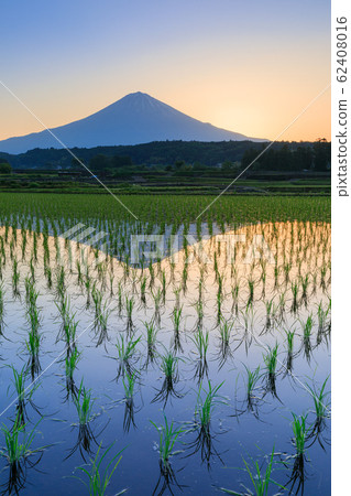 Fuji Shizuoka_sunrise scenery 62408016