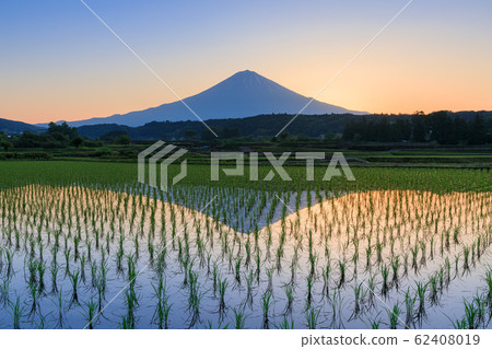 富士靜岡_日出風景 富士靜岡_日出風景 62408019