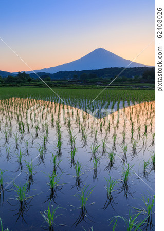 Fuji Shizuoka_sunrise scenery Fuji Shizuoka_sunrise scenery 62408026