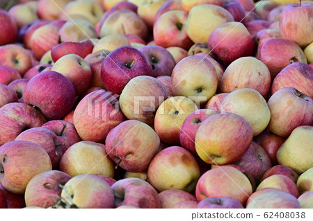 Apple Apple 62408038