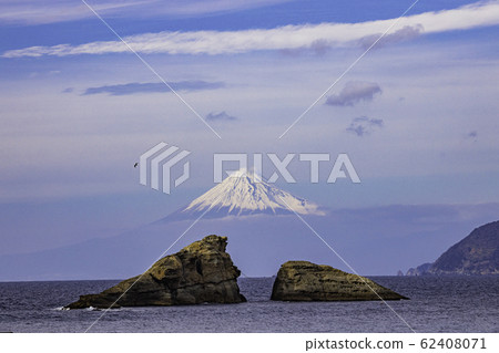 (Shizuoka Prefecture) Kumomi Gyu-Iki, Mt. Fuji over the sea 62408071