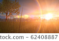 Landscape image CG_green tree_sunset 62408887