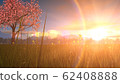 Landscape image CG_Sakura tree_Sunset 62408888