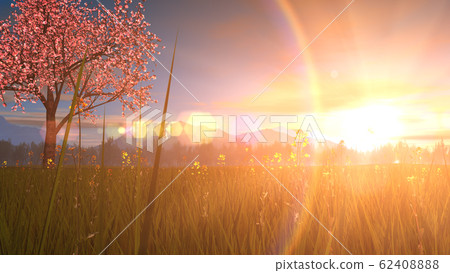 風景圖片CG_櫻花樹_日落 62408888