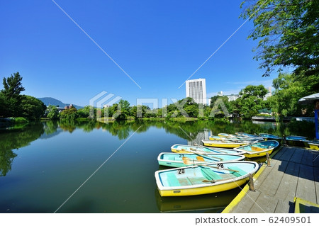 札幌中島公園的鳶尾池 札幌中島公園的鳶尾池 62409501