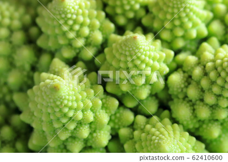 Romanesco Romanesco 62410600