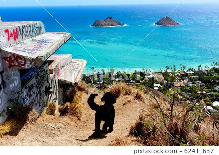 Oahu, Kaiwa Ridge Trail, Lanikai Pillbox 62411637