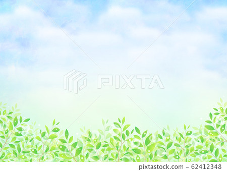 Background material_Konoha Wakaba Aoba Fresh green 62412348