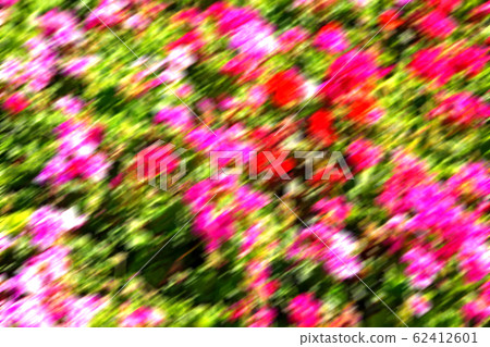 the flowers and garden the flowers and garden 62412601