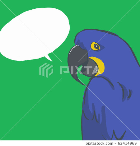 Featured image of post Hyacinth Macaw Cartoon Cerca questo pin e molto altro su birds di amanda foust