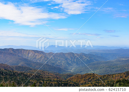 View of autumn leaves 62415710