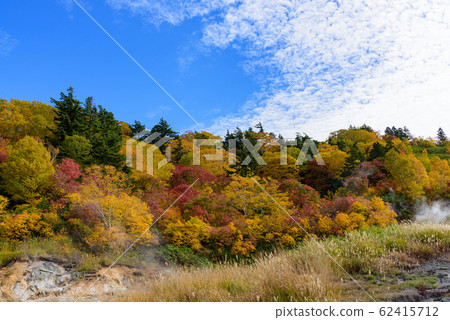 View of autumn leaves View of autumn leaves 62415712