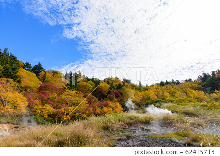 View of autumn leaves View of autumn leaves 62415713
