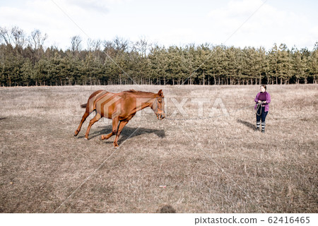 trainer girl warms up the horse in training. 62416465
