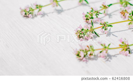 floral background natural plant arrangement floral background natural plant arrangement 62416808