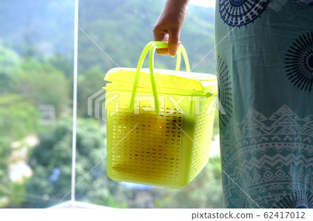 Woman hand holding plastic box with fruits Woman hand holding plastic box with fruits 62417012