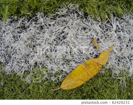 Rubbery base of soccer turf. Green synthetic Rubbery base of soccer turf. Green synthetic 62420231