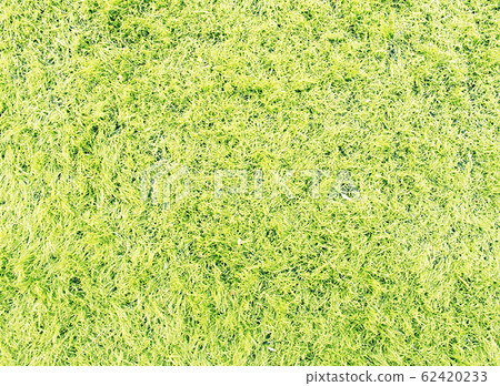 PVC Grass used on sports fields for soccer and PVC Grass used on sports fields for soccer and 62420233