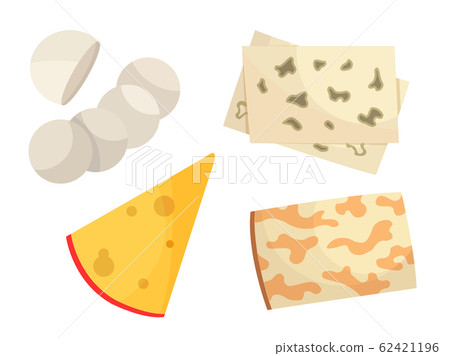 Various types of cheese. Modern flat style realistic vector illustration icons, isolated on white background 62421196