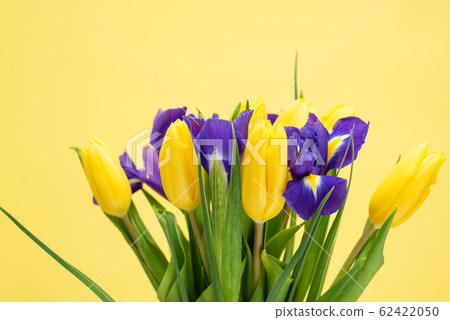 Yellow Tulips With Iris Bouquet 62422050
