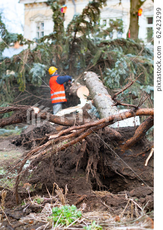 worker using saw 62423299
