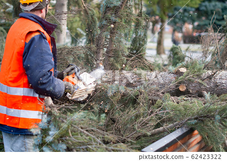 lumberman lumberman 62423322