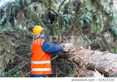 lumberman lumberman 62423326