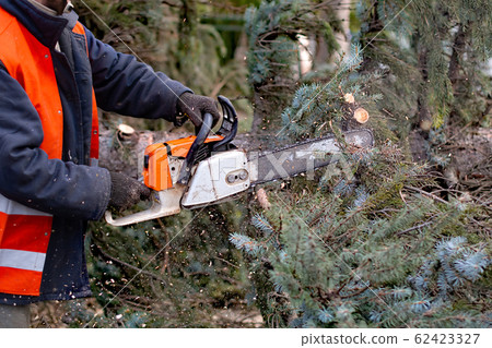 lumberman 62423327