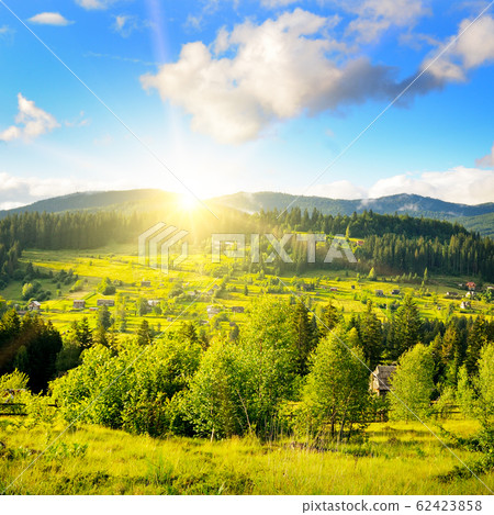 Slopes of mountains, coniferous trees and clouds Slopes of mountains, coniferous trees and clouds 62423858